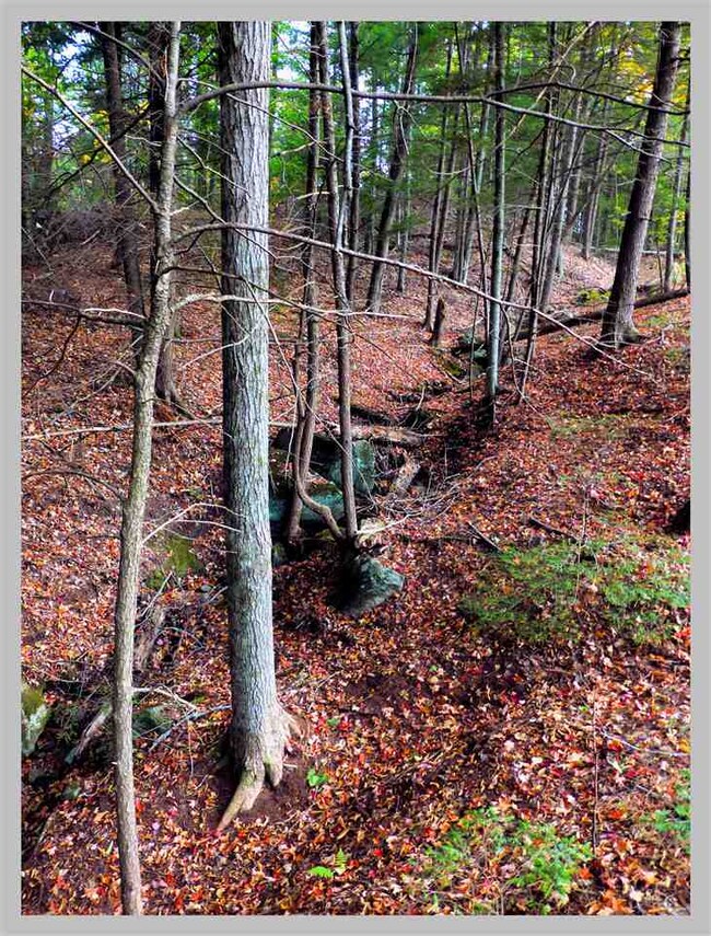 0 Route 175 unit 4666974, Thornton, NH 03285 - photo 4