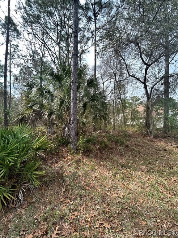 3 Primula Dr, Homosassa, FL 34446 - photo 3