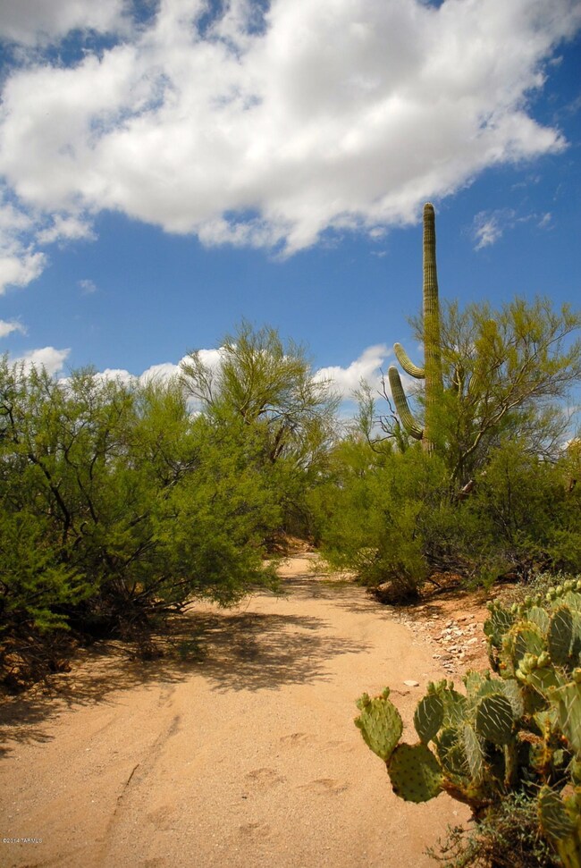 XXX Gas Line Rd unit 5AC, Marana, AZ 85658 - photo 4