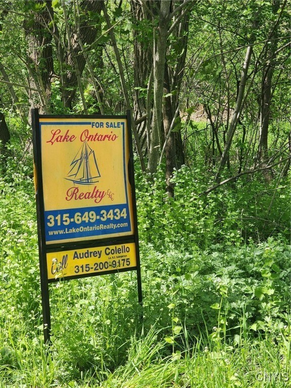 0 Lincoln St unit S1606430, Watertown, NY 13601 - photo 7