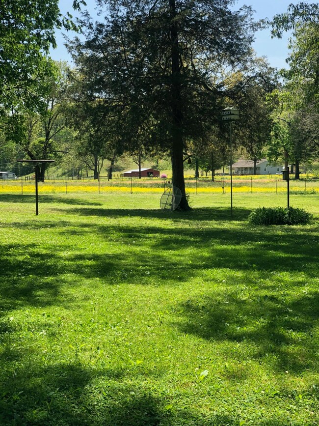 FIELD