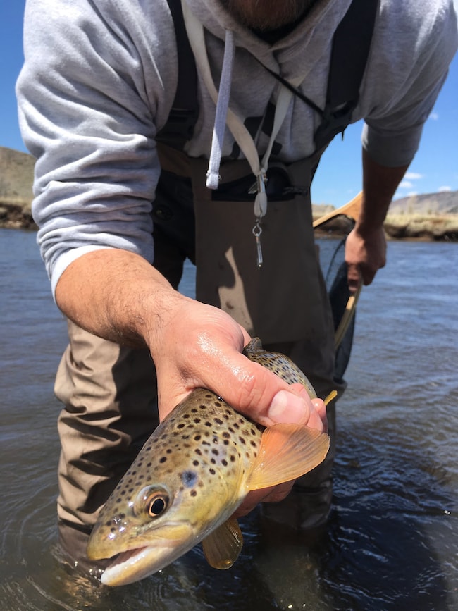 471 Wyoming 10, Woods Landing-Jelm, WY - photo 3