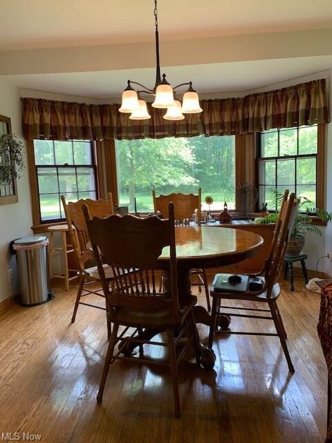 174 W Jefferson St, Jefferson, OH 44047 - photo 5