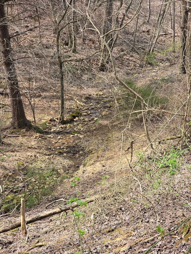 Stream leading to pond