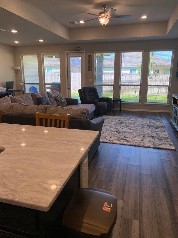 Living area with dark wood-type flooring, ceiling