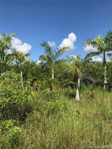 20690 Charles Green Blvd, Loxahatchee, FL 33470 - photo 7