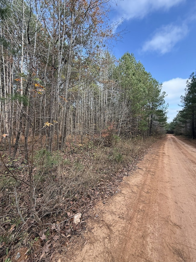 35895 Nc Hwy 561, Hollister, NC 27844 - photo 3