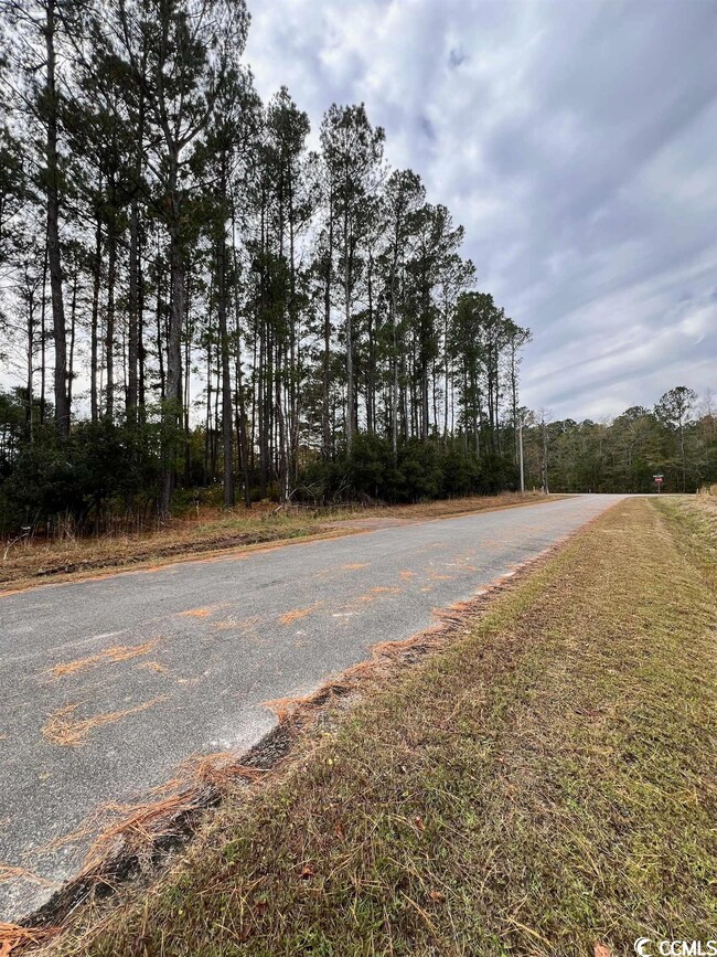 Lot 19 Alligator Ct, Conway, SC 29526 - photo 3