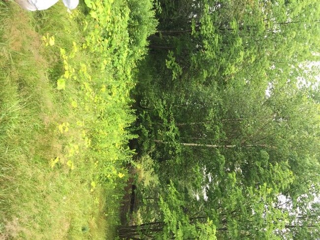 585 N Bridgton Rd, Bridgton, ME 04009 - photo 3