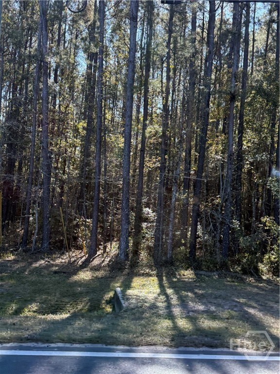 50 Old River Rd, Bloomingdale, GA 31302 - photo 2