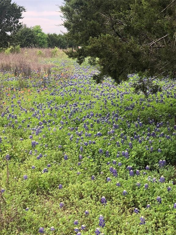 36008 Cedar View Dr, Whitney, TX 76692 - photo 3