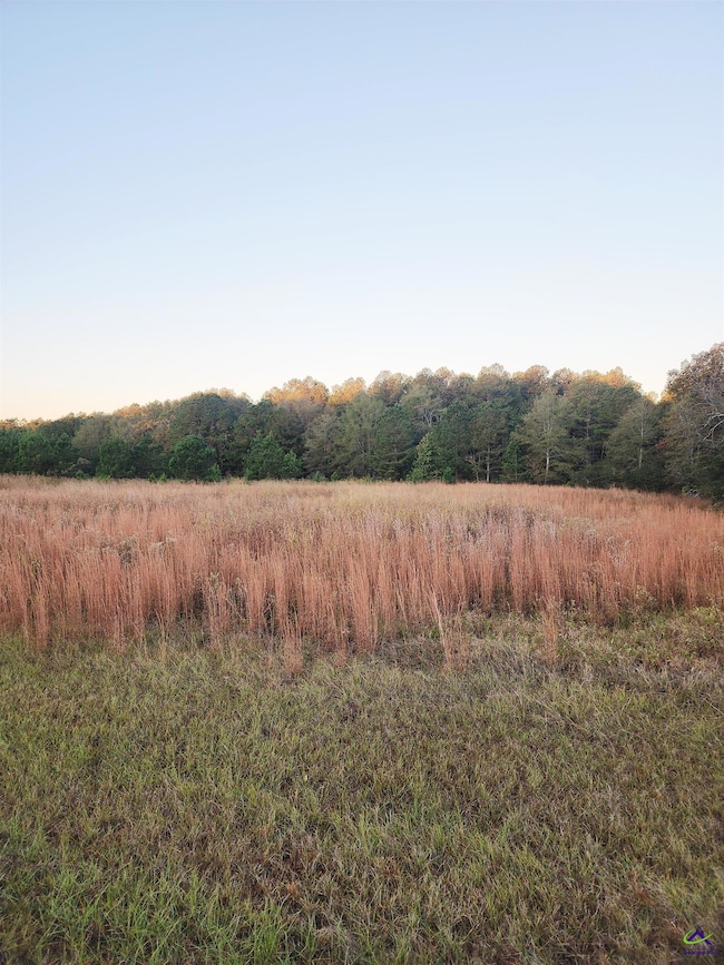 TRACT C-1A LL 2 Kersey Rd, Elko, GA 31025 - photo 2