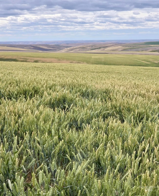 NKA Smith Gulch Rd, Pomeroy, WA 99347 - photo 7