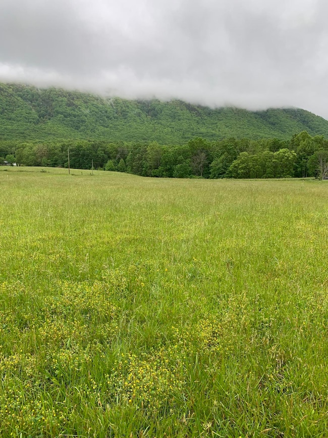 Lt 14 Old Mountain Rd, Greeneville, TN 37743 - photo 5