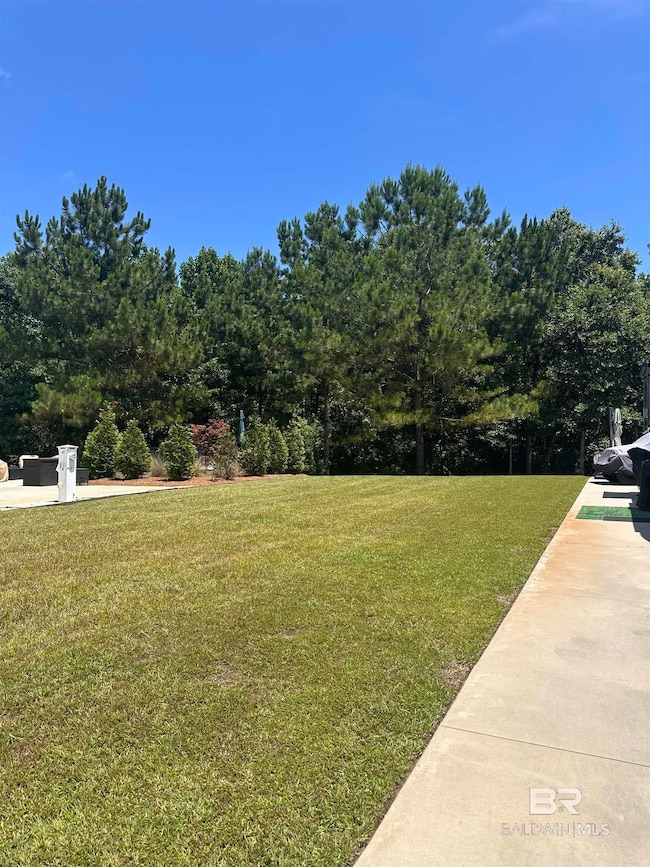 Yard