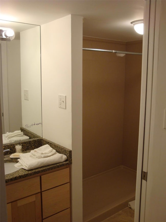 Bathroom with a shower stall and vanity