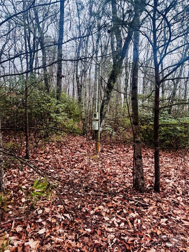 000 Raven Ridge Trail, Dobson, NC 27017 - photo 3