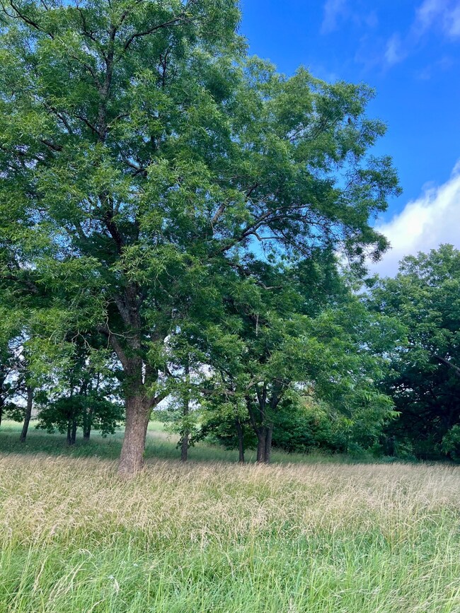 12295 S Bee Emet Rd, Milburn, OK 73450 - photo 5