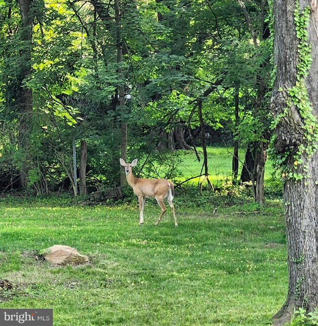 10 Lawrence Rd, Norristown, PA 19403 - photo 3
