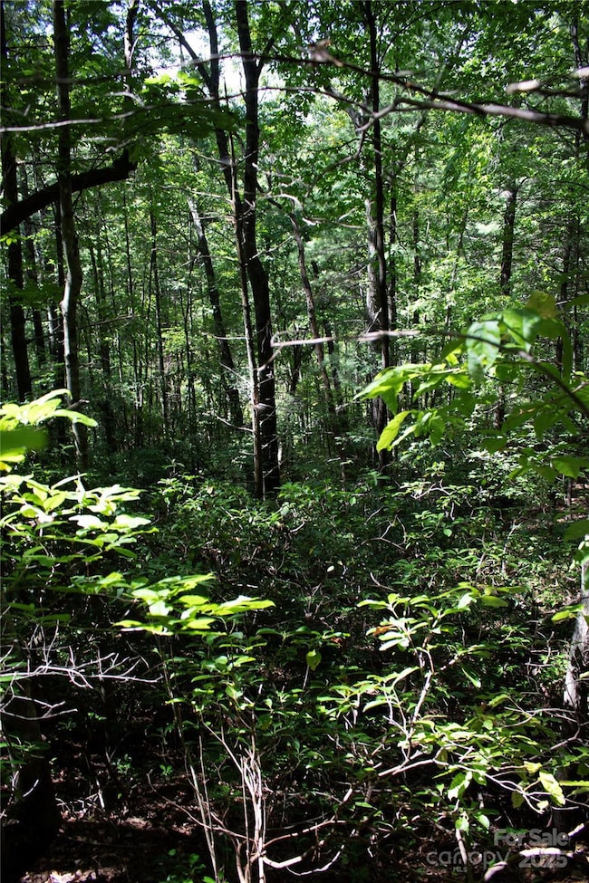 TBD Frozen Creek None unit 34, Brevard, NC 28712 - photo 3