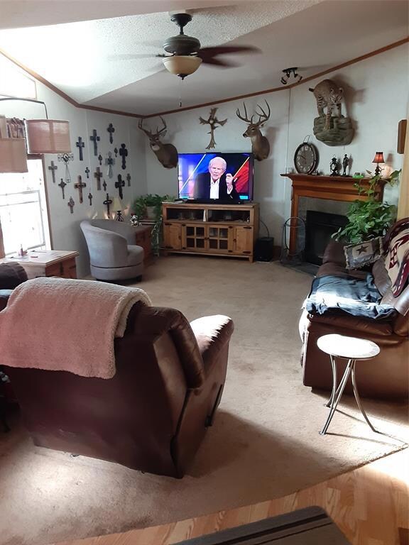 7045 County Road 551, Brownwood, TX 76801 - photo 4