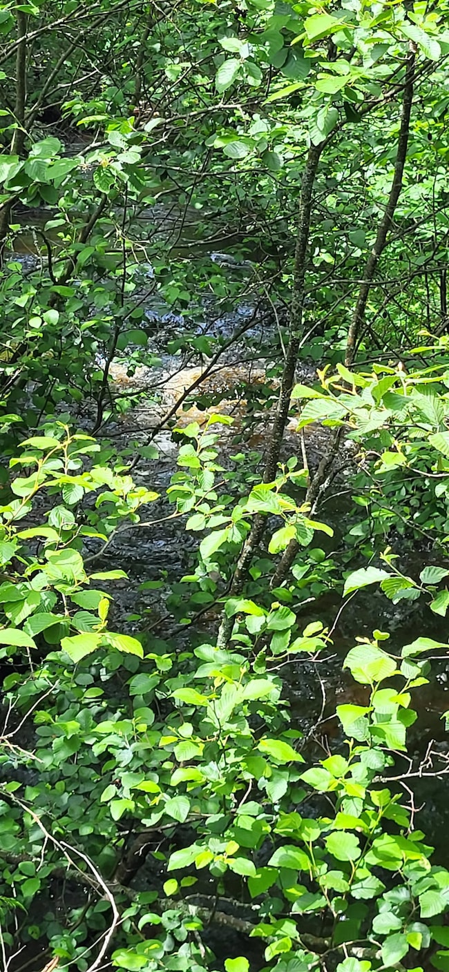 0 Thomas Rd unit 32.1 5052957, Lunenburg, VT 05906 - photo 7