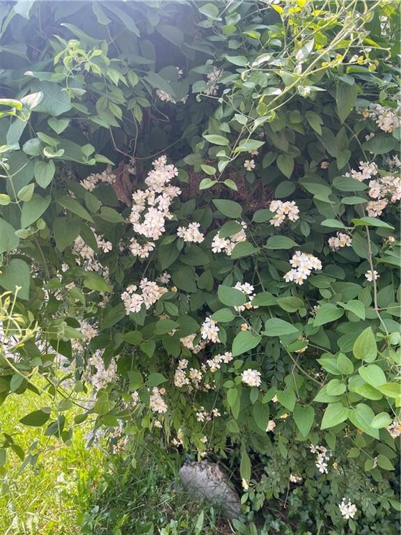 514-516 N 15th St, Allentown, PA 18102 - photo 5