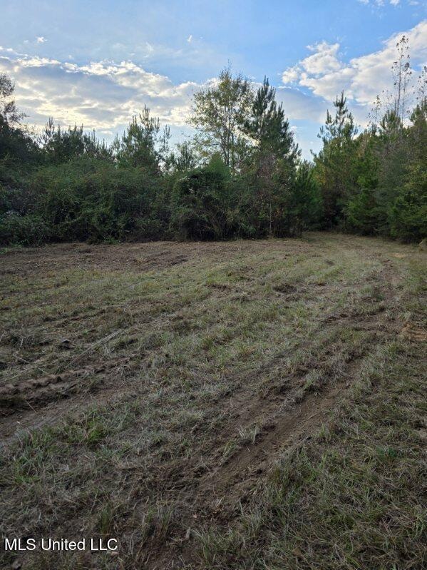 125 Moses Ln, Prentiss, MS 39474 - photo 3