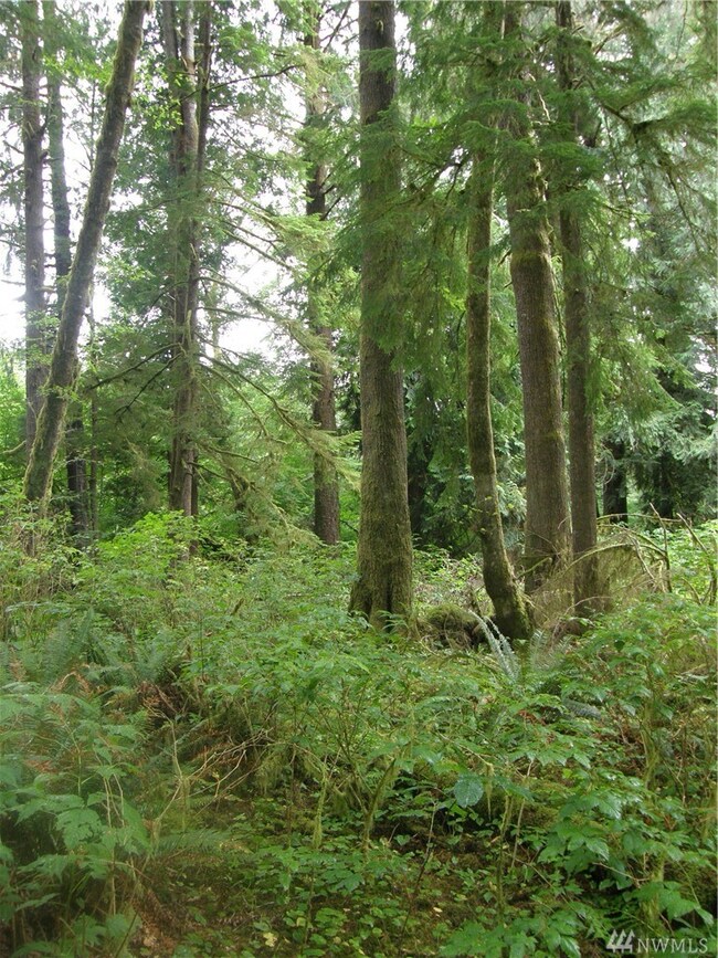 0 Elkhorn Rd, Raymond, WA 98577 - photo 6