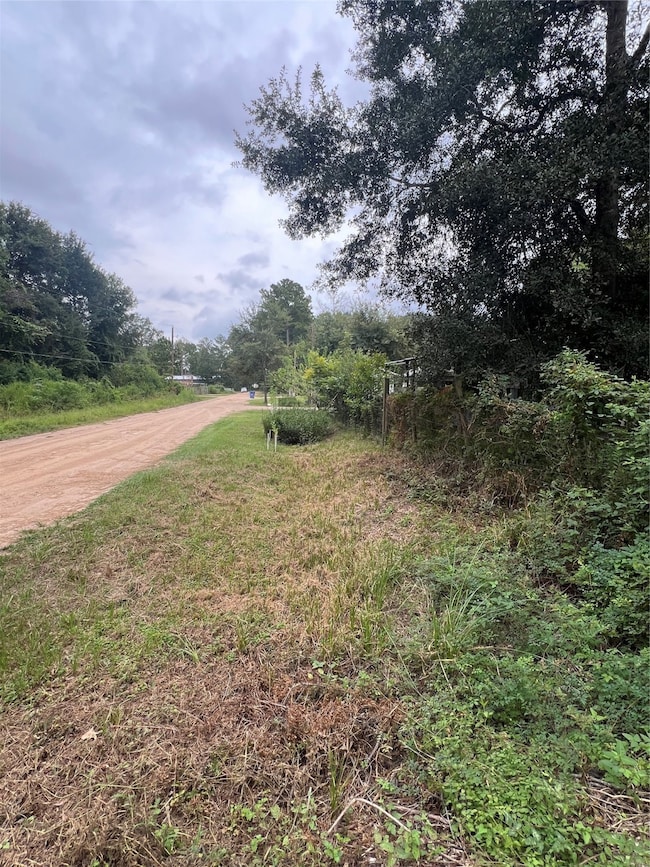 25688 York, New Caney, TX 77357 - photo 4