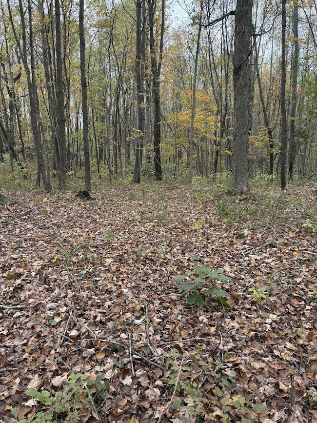 Pine Grove Ch Rd, Vanceburg, KY 41179 - photo 3