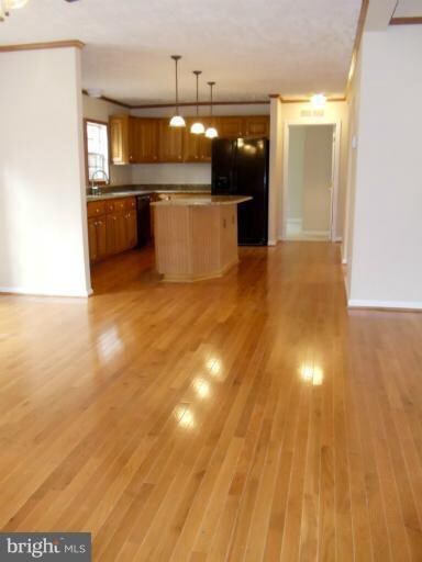 16200 Moores Mill Rd, Ruther Glen, VA 22546 - photo 6