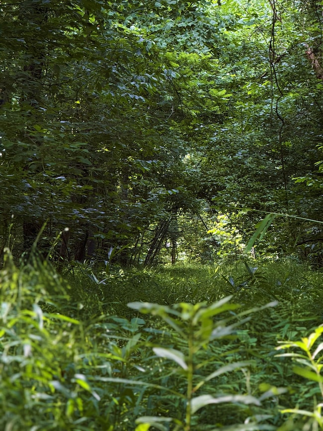 Kennedy Rd, Winnsboro, SC 29180 - photo 7