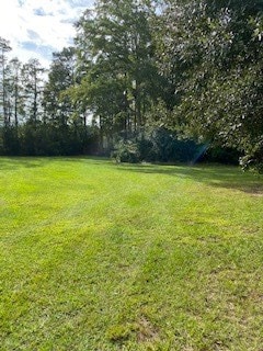 20 Saresden Cove, Sumter, SC 29150 - photo 3