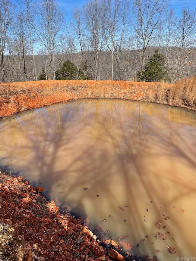 769 Fry Rd, Harriet, AR 72639 - photo 4