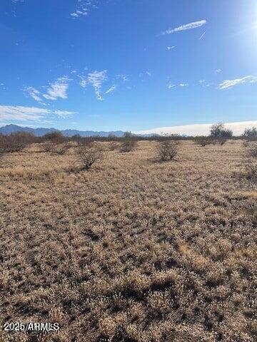 OcotilloLand