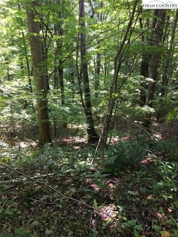 TBD Locust Hill Rd, Boone, NC 28607 - photo 5