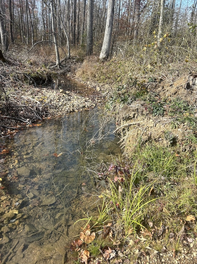 0 Sulphur Creek Rd unit RTC3044976, Big Sandy, TN 38221 - photo 7