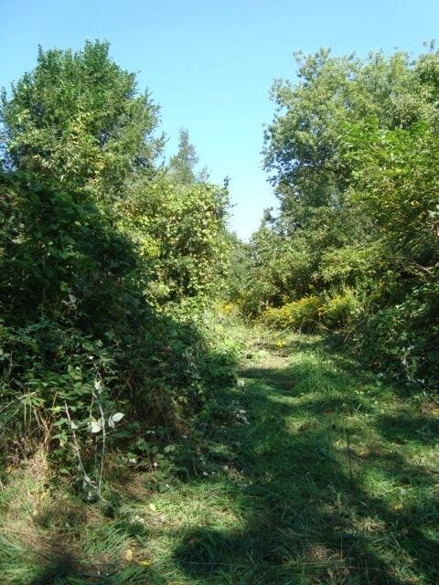 2601 W 450 N, La Porte, IN 46350 - photo 6