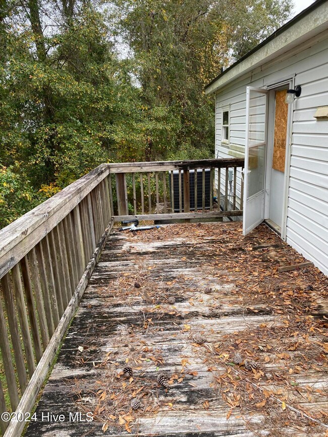 Back Deck 2