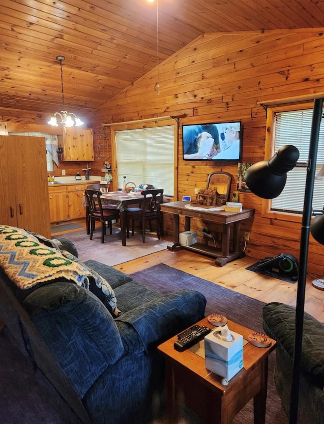 29 River Ranch Rd, Ellijay, GA 30540 - photo 4