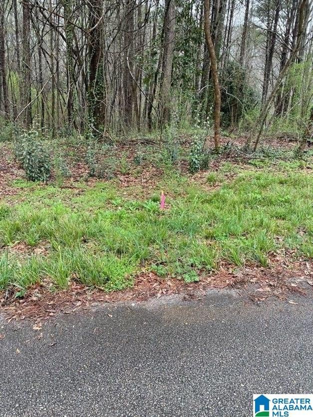 0 Osborn St unit 1 21413432, Heflin, AL 36264 - photo 5