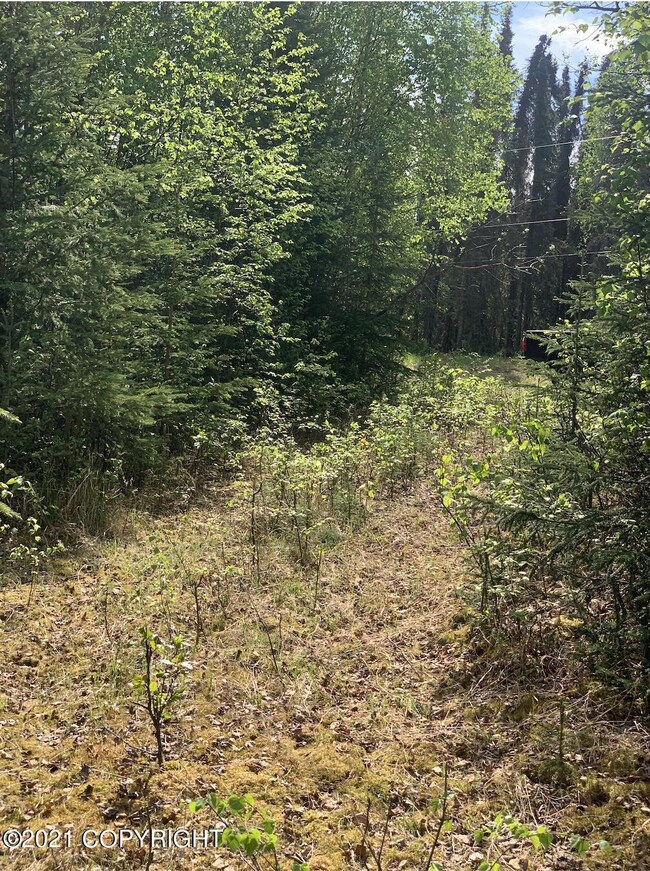 Screen Shot 2021-06-01 at 10.54.20 AM