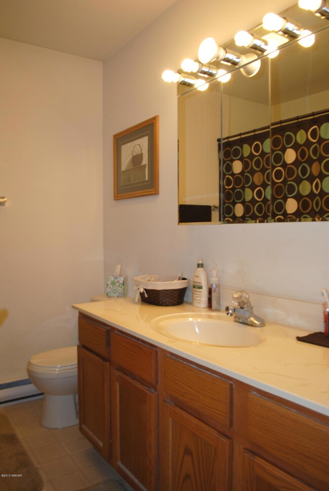 393 Gregg Run Rd, Hughesville, PA 17737 - photo 4