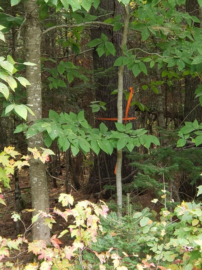 M20 L26C&D Four Mile Square Rd, Anson, ME 04911 - photo 4