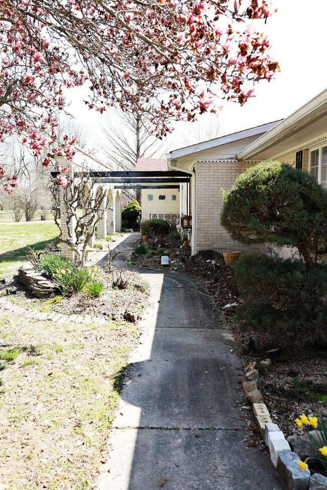 Front Sidewalk