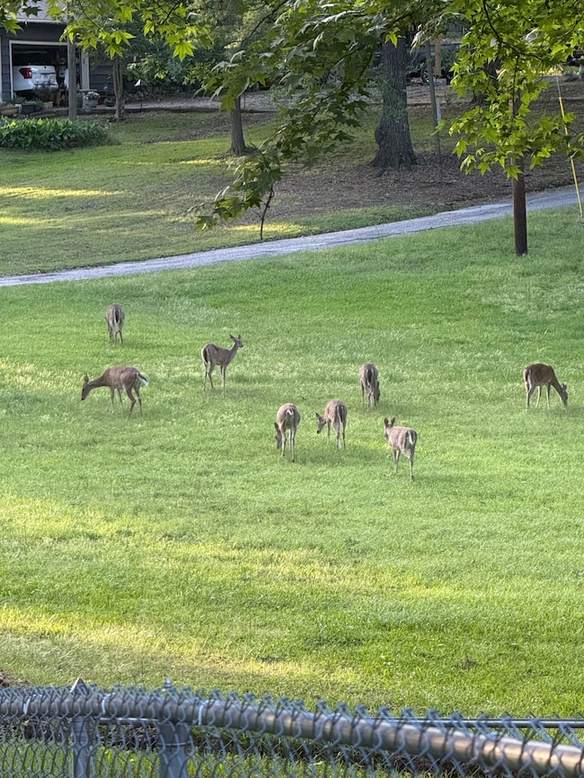 223 Southlake Rd, Saratoga, AR 71859 - photo 2