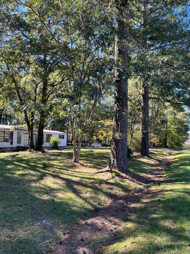 Photo Oct 06 2022, 3 21 33 PM