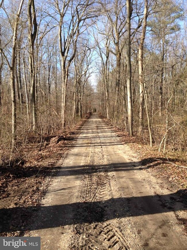 201 Hunters Ln, Centreville, MD 21617 - photo 4