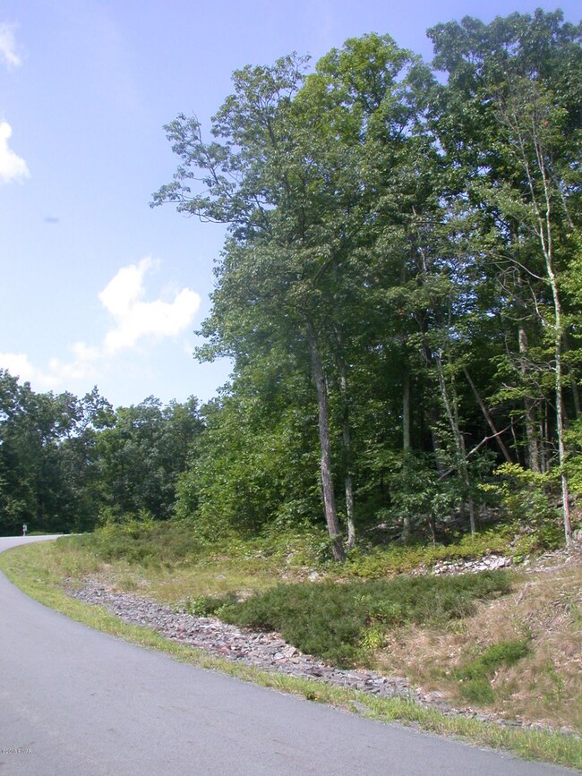 104 Blue Heron Way, Hawley, PA 18428 - photo 4